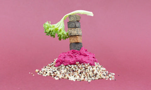 Kreative Food-Inszenierung mit gestapelten Mokä-Linsenwürfeln auf Quinoa, umgeben von leuchtend rotem Randen-Hummus und Salatblatt, vor pinkem Hintergrund.